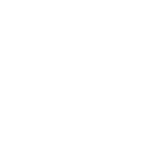 White Patriot Point logo